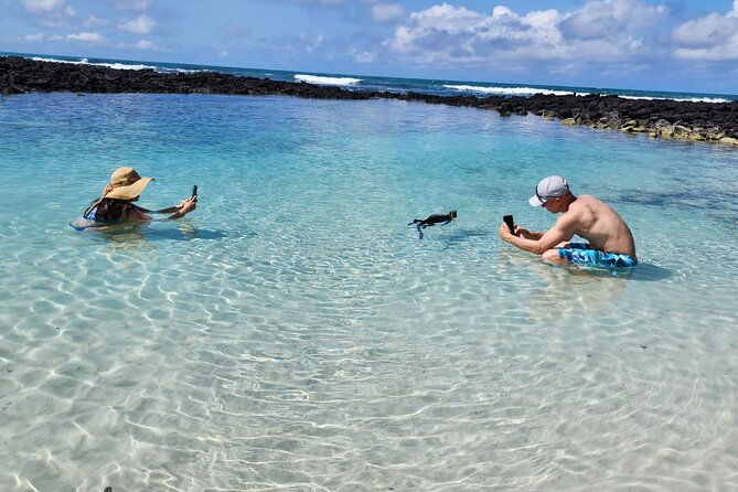 beach-wildlife-and-snorkel-adventure-with-underwater-specialist