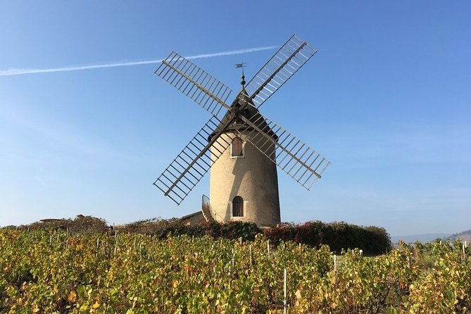 beaujolais-wines-castles-private-tour-half-day