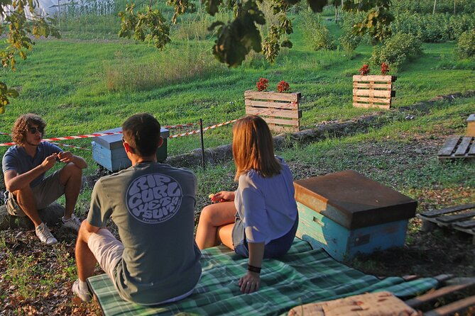 beekeeping-farm-tour-and-tasting-experience-in-lazise