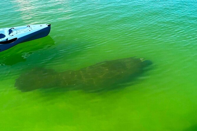 beginner-one-hour-guided-kayaking-and-sup-activity