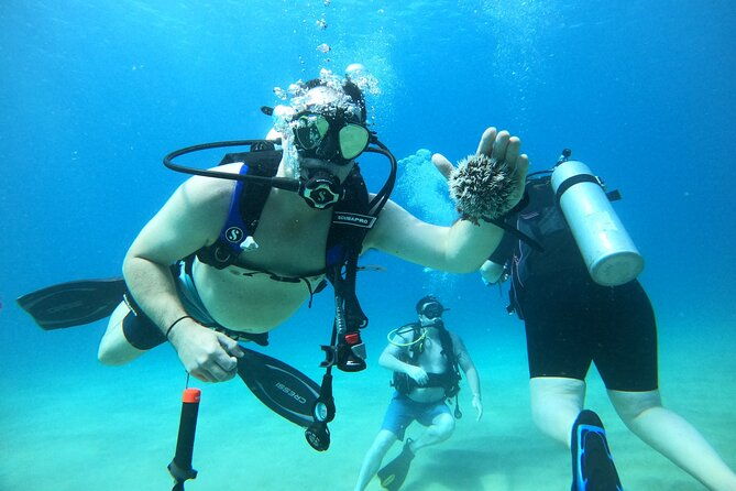 beginner-scuba-diving-guided-tour-no-experience-required