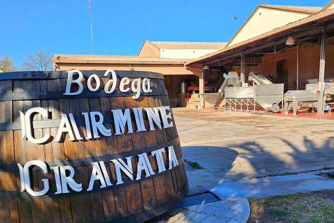 bike-tour-in-mendoza-wine-country