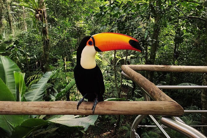 bird-park-general-admission-ticket-and-tour