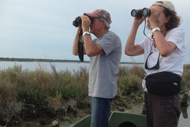 birdwatching-by-boat-in-a-small-group-in-the-pialassa-baiona