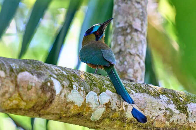 birdwatching-in-a-private-nature-reserve