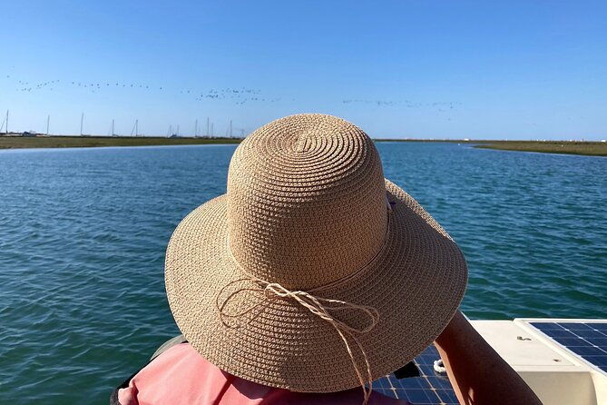 birdwatching-in-ria-formosa-eco-boat-tour-from-faro