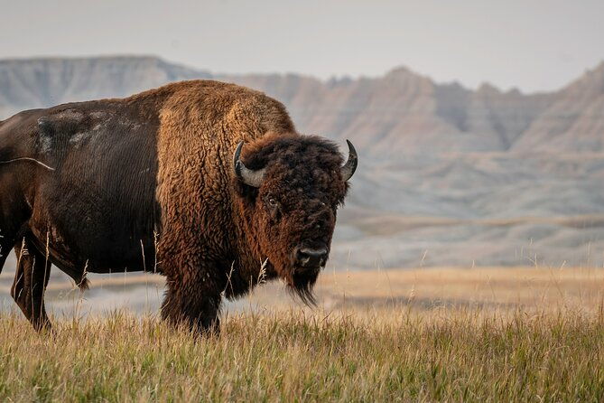 black-hills-self-guided-driving-audio-tour