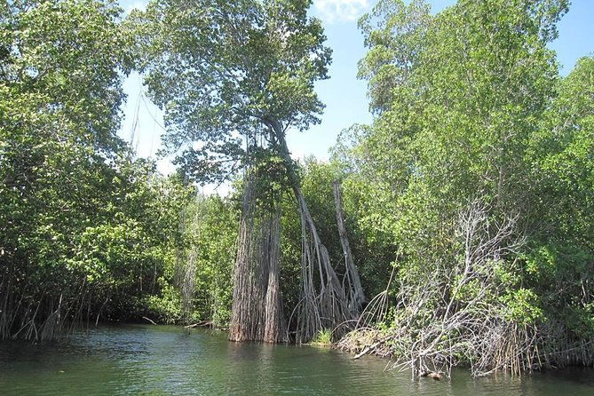 black-river-safari-and-ys-falls-tour-from-negril