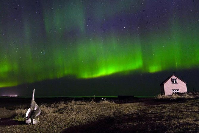 blue-lagoon-and-northern-lights-tour-including-admission-4
