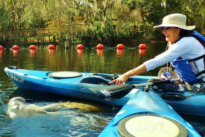 blue-springs-manatee-tours-wildlife-adventure-orlando