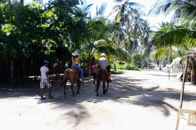 boat-ride-gentle-beach-beach-horseback-ridelunch-crocs-turtles