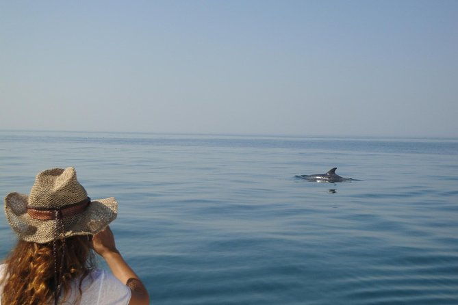 boat-trip-for-dolphin-watching-along-the-arrabida-coast-and-sesimbra-2