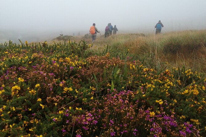 bog-safari-hike-2