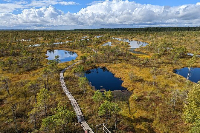 bogs-and-resorts-in-jurmala