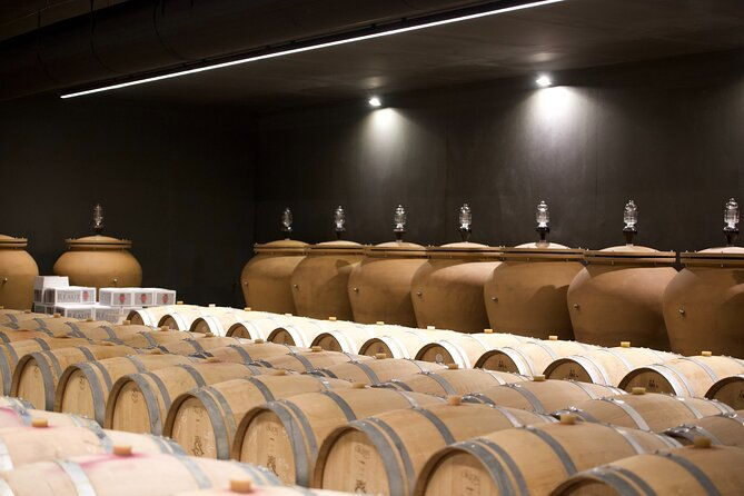 bordeaux-full-day-wine-tastings-gourmet-lunch
