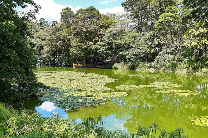botanical-garden-and-arvi-park-medellin-city-tour