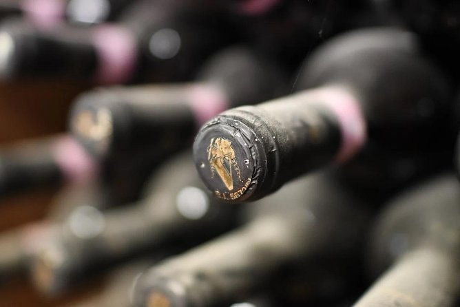 brunello-vineyards-bus-tour-2