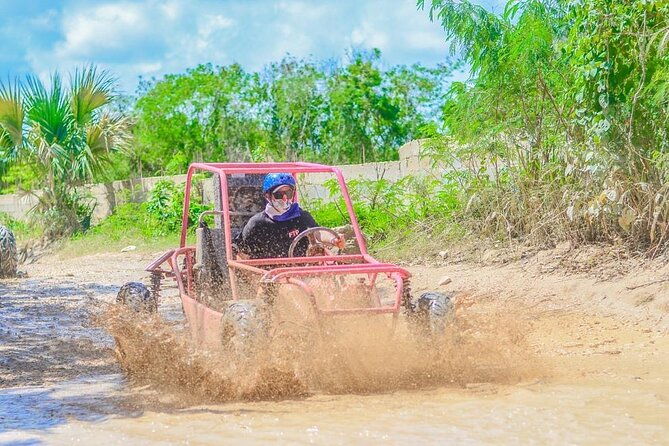 buggy-ride-into-the-jungle-with-cave-coffee-chocolate-tasting