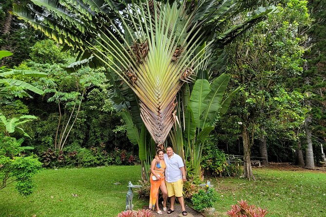 byodo-temple-and-waimea-botanical-garden-tour-2
