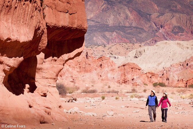 cafayate-vineyards-and-calchaquies-valleys-tour-from-salta