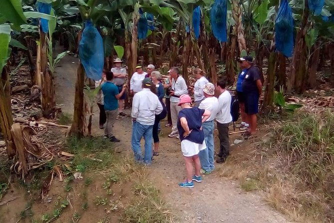 cahuita-national-park-banana-plantation-tour-shore-excursion-from-puerto-limon