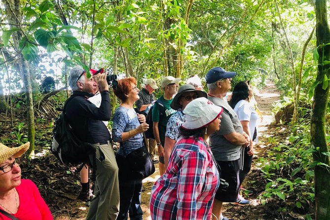 cahuita-national-park-walk-and-banana-plantation-shore-excursion-from-limon