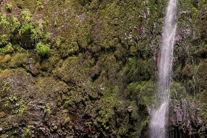 caldeirao-verde-levadas-walk-in-madeira