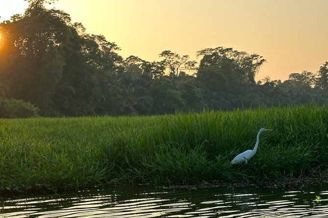 canoe-tour-in-tortuguero-national-park-small-group