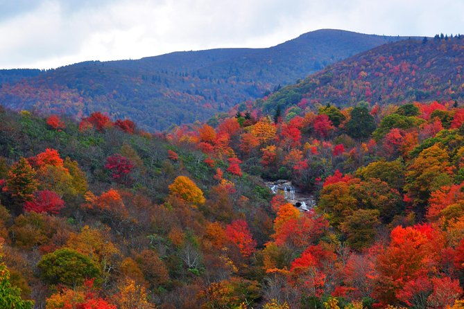 carolina-waterfalls-and-highlands-private-vip-boutique-tour-2