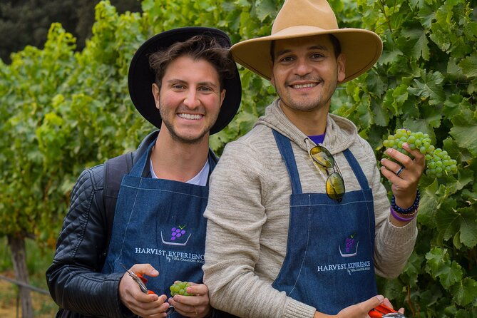 casablanca-wine-valley-lgbt