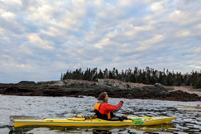 casco-bay-half-day-sea-kayak-tour