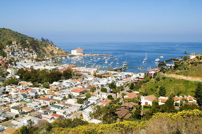 catalina-island-day-trip-from-anaheim-hotels-with-discover-avalon-tour