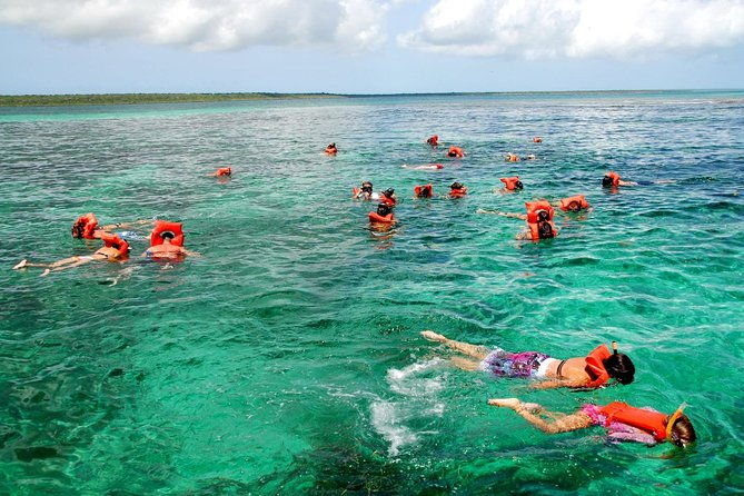 catalina-island-snorkeling-tour