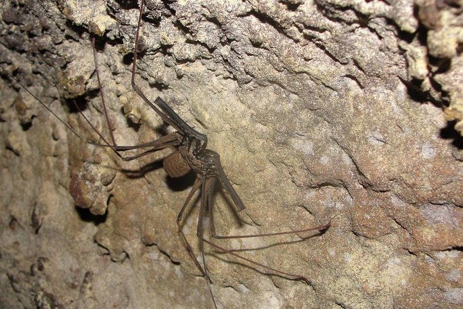 caves-and-waterfalls-day-tour