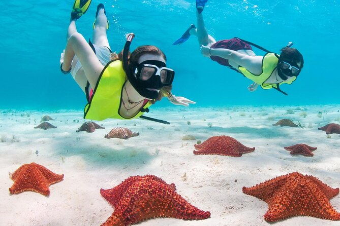cayman-combo-tour-stingrays-starfish-point-and-crystal-caves