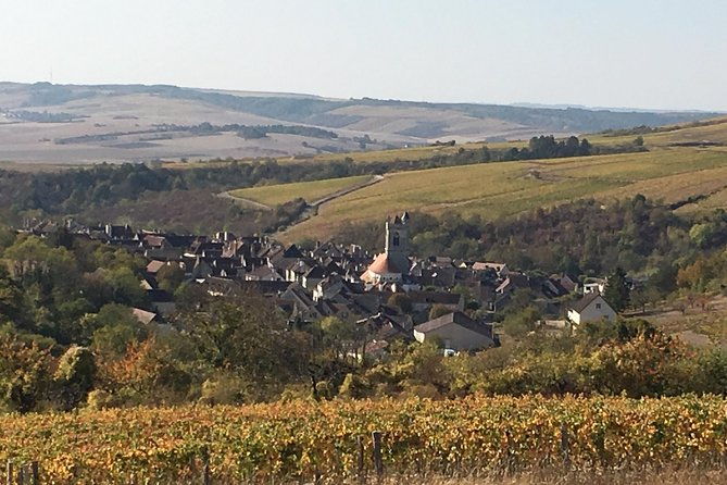chablis-northern-burgundy-wine-tour-2