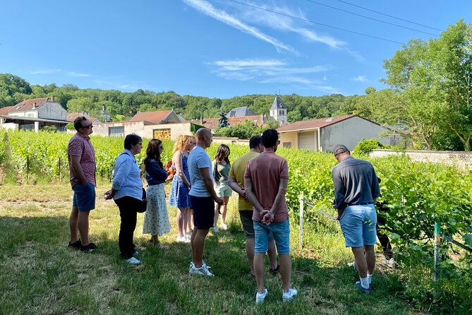 champagne-cellars-vineyards-tour-from-reims-full-day