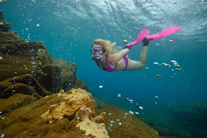champagne-reef-bubble-beach-and-scotts-head-snorkeling-tour-by-boat-in-dominica