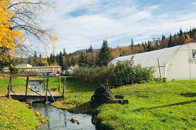 chena-hot-spring-day-tour