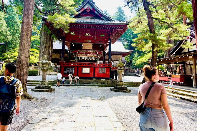 cherry-blossom-mount-fuji-customizable-luxury-vehicle-guided-tour