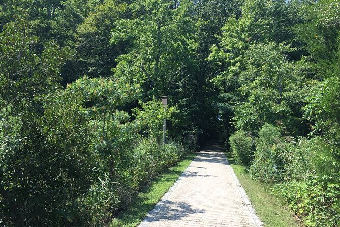 chesapeake-beach-guided-walking-tour-railway-trail