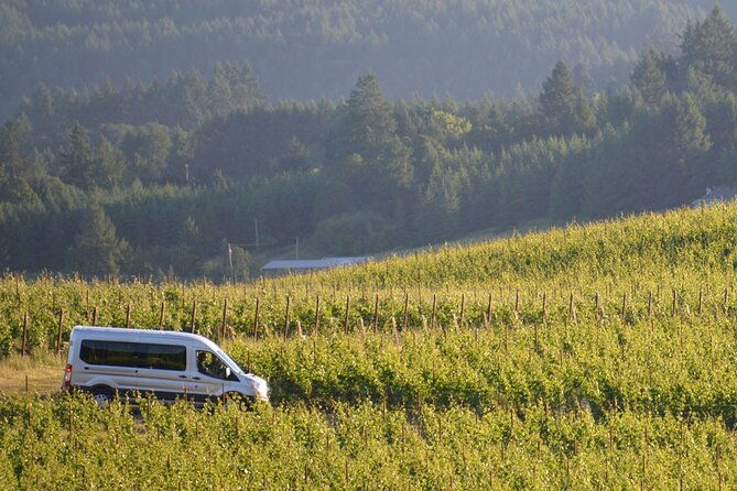 chianti-and-supertuscan-private-tour-with-lunch-from-livorno