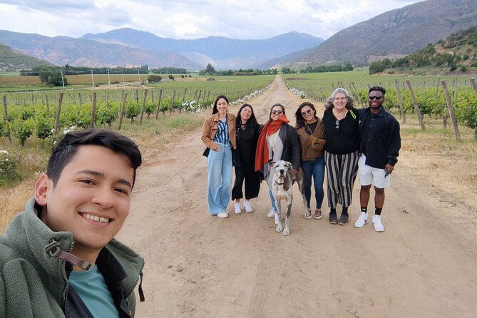 chile-wine-boutique