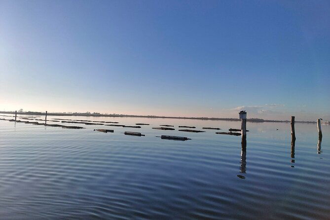 chioggia-aquaculture-secrets-tours-of-the-lagoon
