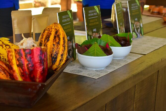 chocolate-tour-crocodile-safari-puntarenas-shore-excursion