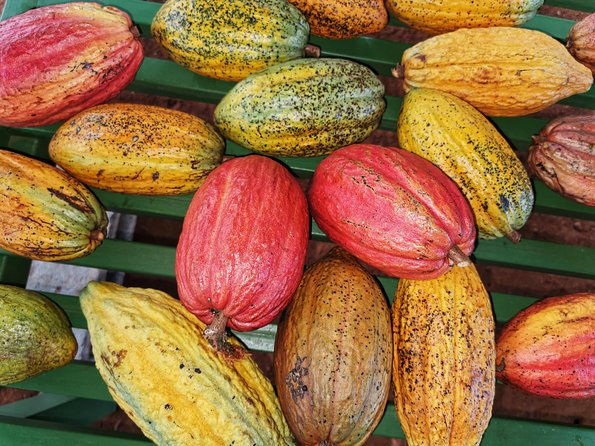 chocolate-tour-manuel-antonio
