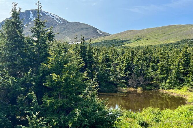 chugach-state-park-nature-walk