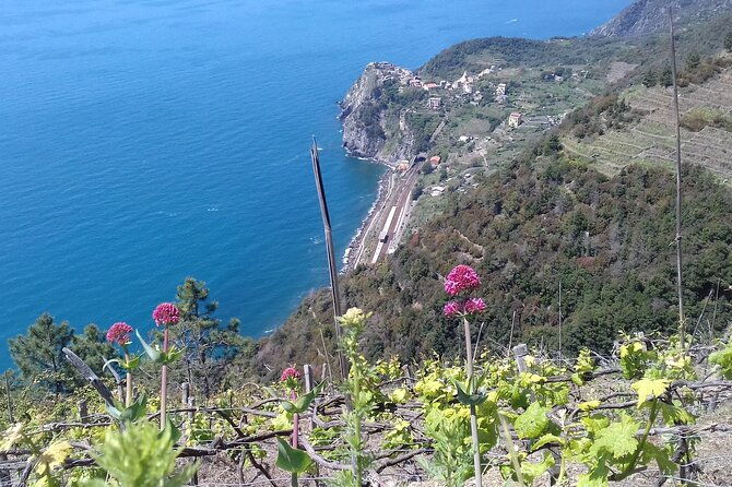 cinque-terre-unforgettable-hiking-experience