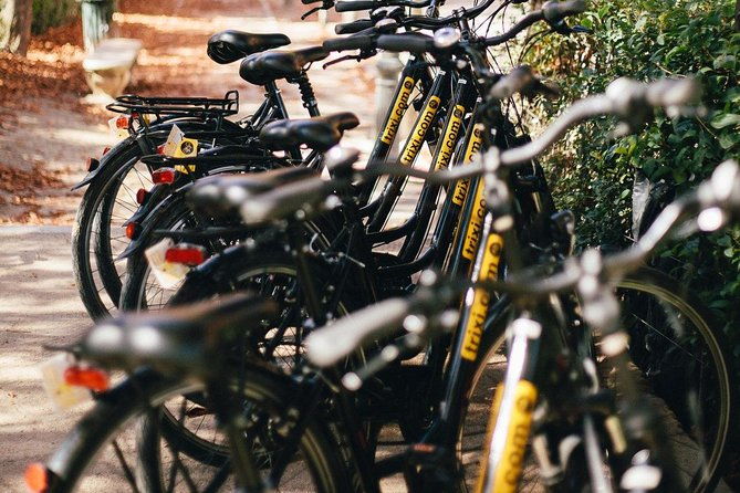 city-bike-rental-with-phone-holder-and-self-guided-tour