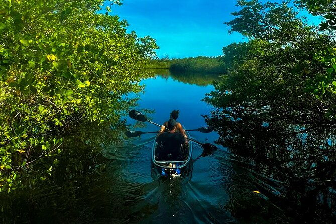 clear-kayak-ecotour-at-robinson-preserve-in-bradenton-florida
